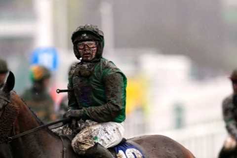 Five Horses Ready to Shine at Cheltenham Festival