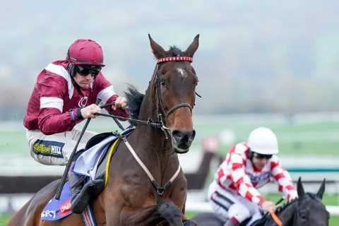 Cheltenham Day Two: Fact To File Wins Novices’ Steeple Chase
