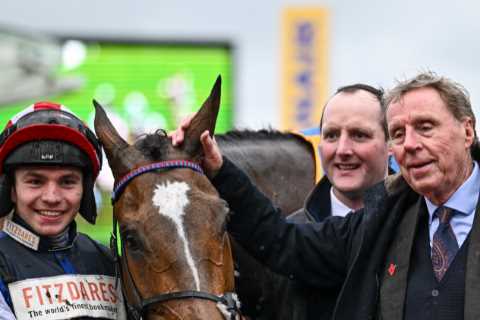 Harry Redknapp's Grand National Dream Crushed by Rule Change