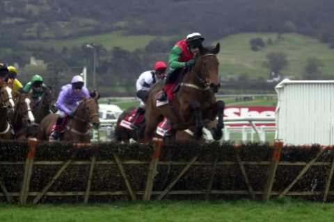 'People’s Champion' Limestone Lad Dies at 32