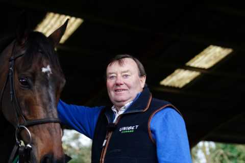 Nicky Henderson 'Traumatised' as Superstar Horse Constitution Hill Rushed to Hospital
