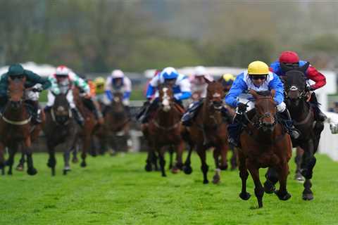 Novices' Hurdle at Aintree: Full Horse Finishing Order and Placings Revealed