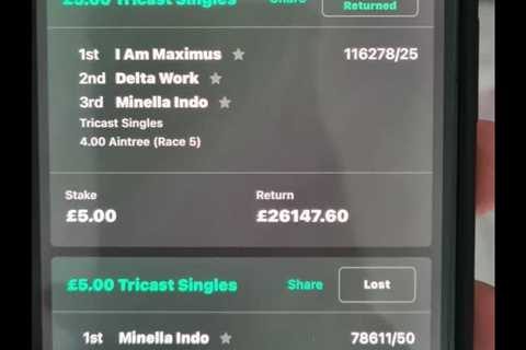 Punter’s Lucky Grand National Bet Nets £25,000 From a Fiver