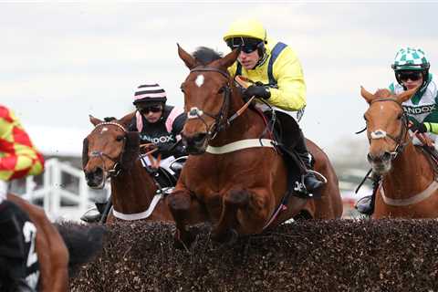 Lostintranslation: Grand National Legend Passes Away at 13
