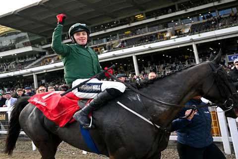 Stumptown Tops the Charts as Grand National's New Favourite