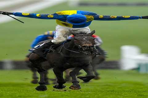 Langer Dan Retired Abruptly Ahead of Grand National Festival After Heart Issue
