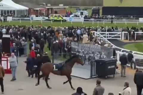 Chaos at Stratford Races as Loose Horse Charges Through Spectator Area