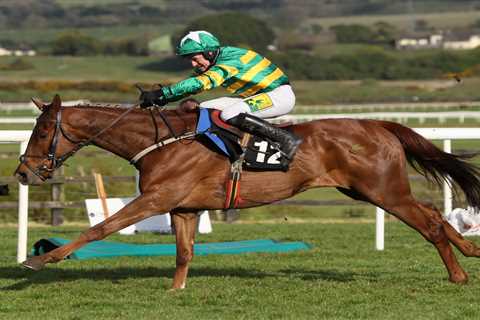 Willie Mullins Withdraws Top Cheltenham Contender from Grand National