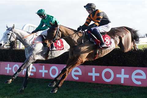 A Widow's Horse, A Million Pound Dream - The Gut-Wrenching Story Behind Nick Rockett