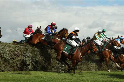 Holy Crap! Gracchus De Balme Stuns Everyone in Aintree's Foxhunters' Chase