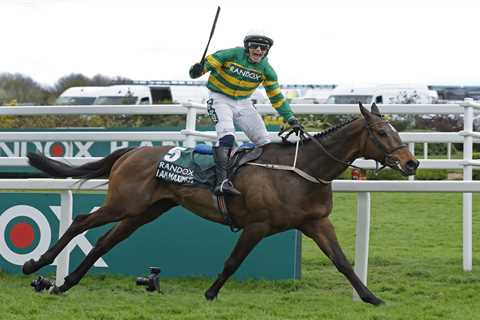 The Grand National Supercomputer Prediction Is Here – And Willie Mullins Is Gonna Be LIVID