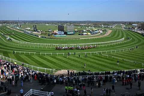 Mirabel who? BBC finally brings a woman to the Grand National commentary booth after SEVEN decades