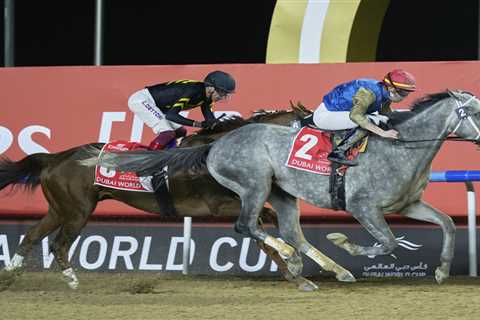 Frankie Dettori robbed of half a million quid as 80-1 longshot steals Dubai World Cup in final strides