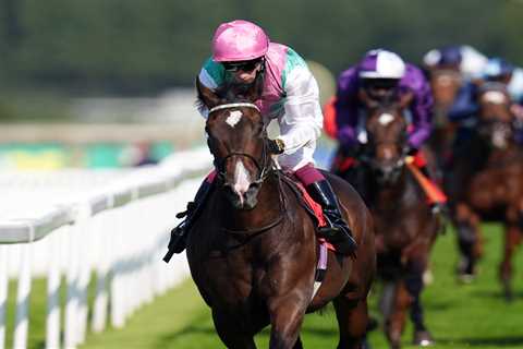 Charlton's Guineas Hope Takes Unexpected Detour to Kempton - Murphy Gets the Ride