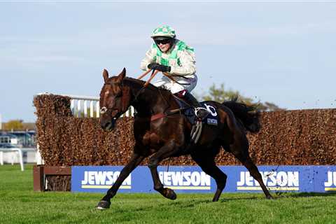 Tragic twist: Celebre D'Allen's post-mortem reveals hidden killer after Grand National