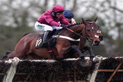 £1.2m Super Horse Palladium Yanked from Henderson's Yard in Shock Move