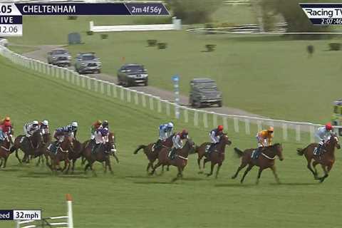 Heartbreak at Cheltenham: Typhoon Flyer's Final Race Ends in Tragedy