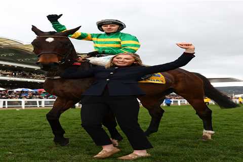 Fact To File's Shock Switch: Mullins Drops 2-Mile Bombshell That Could Reshape Next Year's Cheltenham