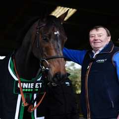 Constitution Hill's £650k Ascot Gold Cup Dream Officially DEAD as Henderson Admits 'Something's Gone Wrong'