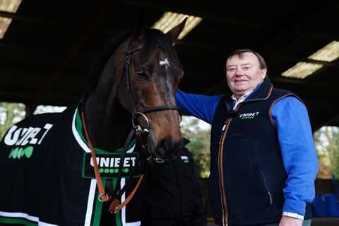 Constitution Hill's £650k Ascot Gold Cup Dream Officially DEAD as Henderson Admits 'Something's Gone Wrong'