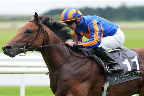 The Lion In Winter Roars Back: Derby Punters Pile In Despite Dante Disaster