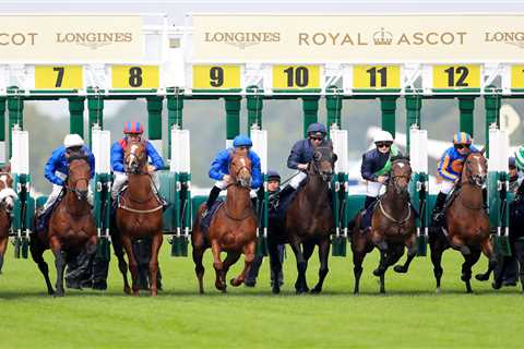 When Your £140k-Per-Race Wonder Horse Becomes the Last Man Standing