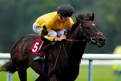 When Life Gives You Jokers: Shoemark's Last-Ditch Bid for French Derby Glory