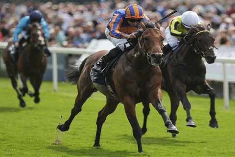 Ballydoyle's Derby Drama: When Favourites Fall and Dark Horses Rise