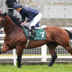 When Unstoppable Horses Stop Dead: The Storm Boy Disaster That Had Me Questioning Everything