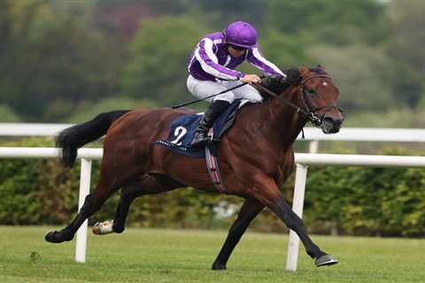 This Unbeaten French Colt Just Dropped £75K to Gate-crash the Derby Party