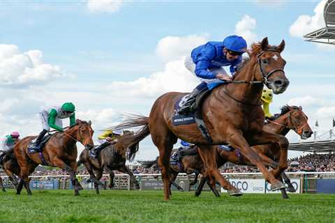 Why I'm Backing a 2,000 Guineas Winner to Demolish the Field at 6 Furlongs